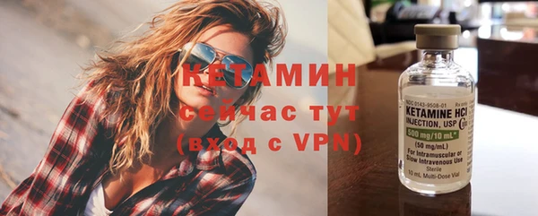 индика Вяземский