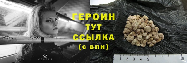 индика Вяземский