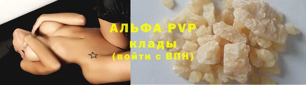 PSILOCYBIN Бородино