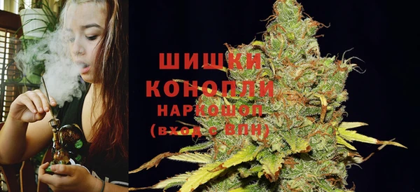 индика Вяземский